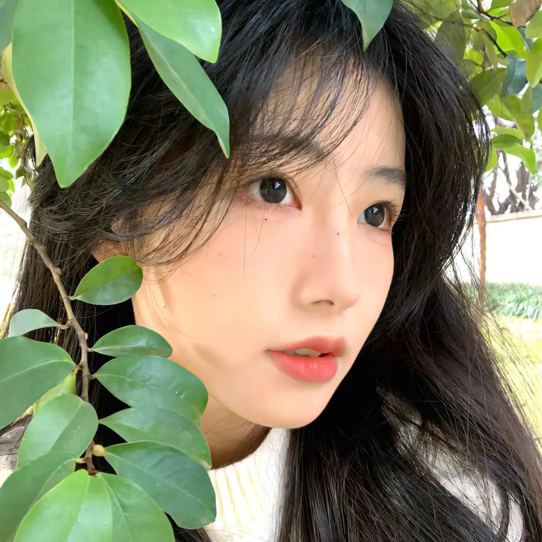 戆叔儍侄